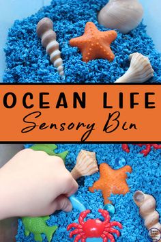Ocean Life Sensory Bin – Simple Living. Creative Learning
