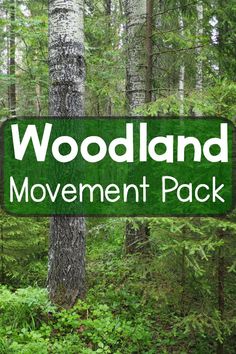 Fun activities for your woodland theme or forest theme! The movement pack is full of fun ideas for incorporating physical activity for kids with a woodland theme. A great way to get little bodies moving with the added fun of using themes!