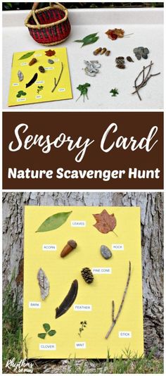 Create a nature scavenger hunt with a nature sensory card for kids. Easy ideas to extend this forest school nature study activity are included. | Rhythms of Play