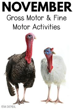 Gross motor and fine motor activities for the month of November. These themed ideas include football gross motor and fine motor, Thanksgiving themed fine motor and gross motor as well as transportation and dinosaur themes. You will get so many great ideas to get you started planning now!