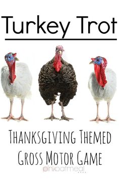 Turkey Trot, A Thanksgiving Gross Motor Game- Pink Oatmeal #thanksgivingactivities #thanksgivinggrossmotor #brainbreak #preschoolgrossmotor