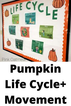 Such a cute pumpkin themed gross motor activity. Plus, it incorporates learing with the pumpkin life cycle!