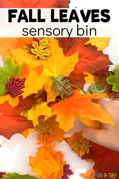 Such an easy and engaging sensory bin perfect for your fall lesson plans! This fall leaf sensory bin is super fast to set up, and it doesn’t require that many materials. Read more by clicking on the Fun-A-Day.com link.