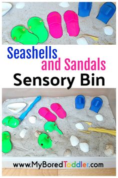 Seashells and Sandals in the Sensory Bin: This simple craft & activity is not just for summer – it can provide fine motor & math play any time of year.