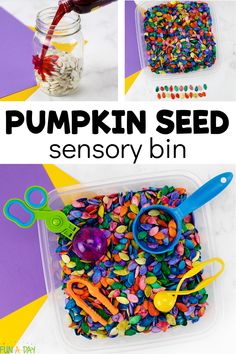 Use those leftover pumpkin seeds to practice sensory, math, and fine motor skills in preschool and kindergarten. Learn more about the colorful pumpkin seed sensory bin by clicking on the Fun-A-Day.com link.