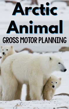 Arctic animal gross motor planning ideas for you! Have fun with these games and physical activity ideas for your arctic animal theme!