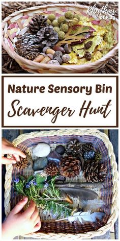 Nature scavenger hunts are a great way to get the kids outside having fun. Invite your children to go on a scavenger hunt to find natural materials for a nature sensory bin. Learn how to make a nature sensory bin with the nature items you collect in order to extend the activity for sensory development and education. | Rhythms of Play