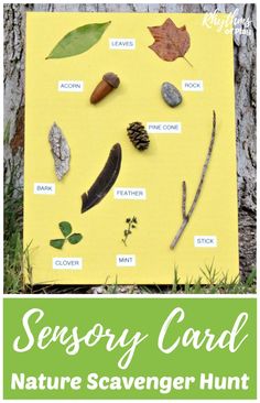 Create a nature scavenger hunt with nature sensory card for kids. Easy ideas to extend this forest school nature study activity are included. | Rhythms of Play