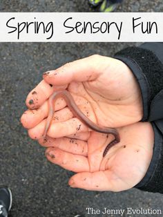 Outside Sensory Ideas: Springtime Fun with Worms | The Jenny Evolution