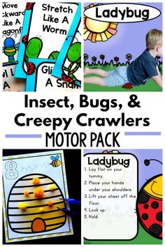 Insect, bugs, and creepy crawlers motor activities. Gross motor and fine motor activities to go along with your insect unit can be found in this fun activity pack. Move like different insects, bugs, and creepy crawlers and work on fine motor skills with this theme!