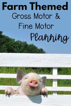 Farm Themed Motor Planning Ideas | So many great ideas for farm themed fine motor and farm themed gross motor ideas. I love the animal moves and the cute fine motor activities! This is perfect for a classroom, therapy, or home!