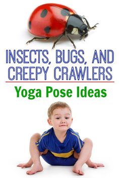 Insects, bugs, and creepy crawlers kids yoga! Pose like a ladybug, fly or worm!