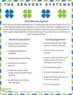 THE OLFACTORY SYSTEM. Discover what each sensory system involves, along with red-flags for sensitivities and activity suggestions for each system! Use these as printables to use in your home, classroom or clinic! (AD)