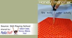 Honey Transfer Fine Motor Activity – PediaStaff